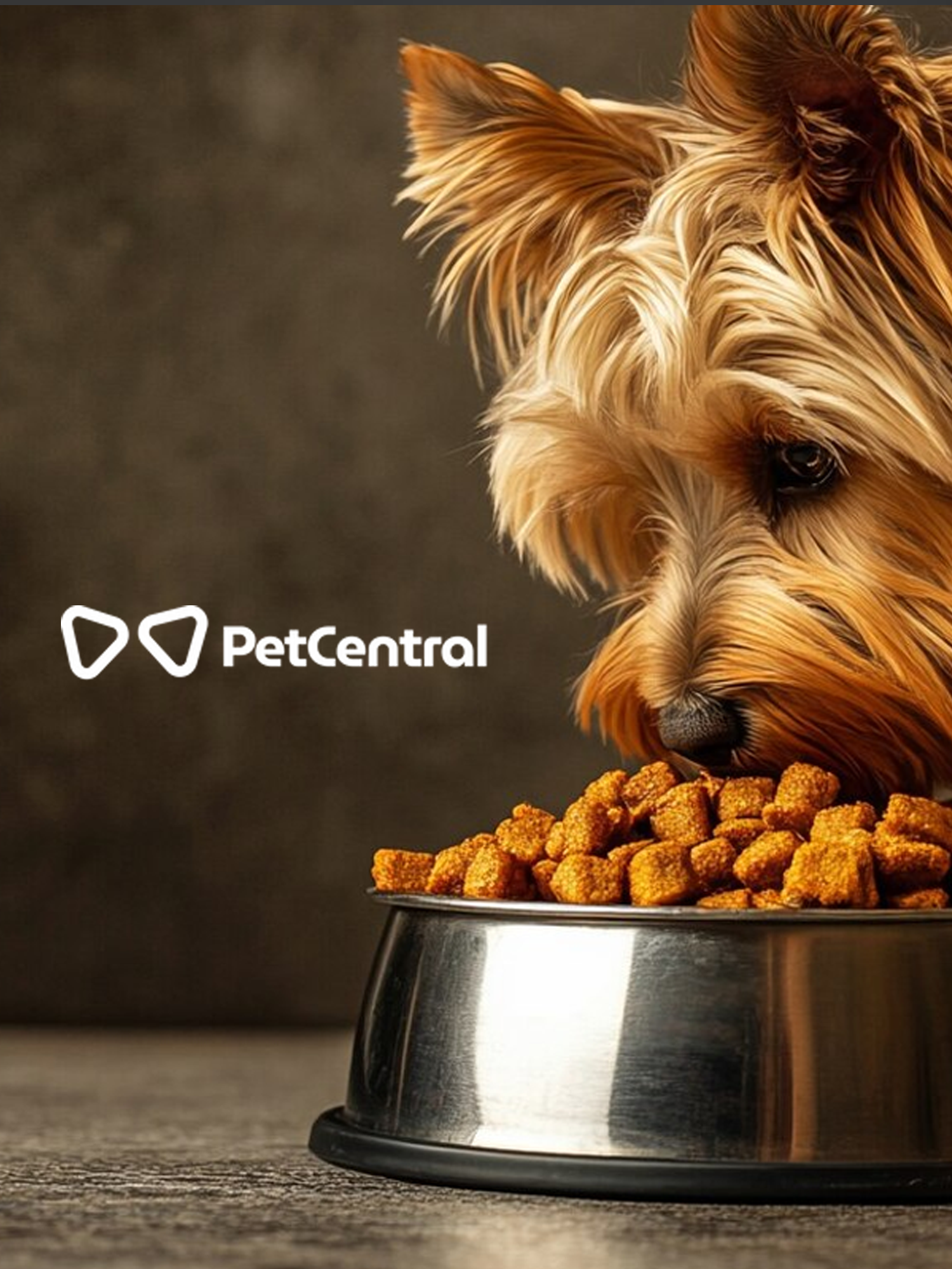 PETCENTRAL-BANNER